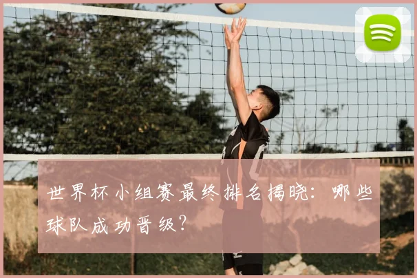 世界杯小组赛最终排名揭晓:哪些球队成功晋级?