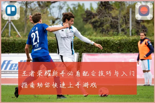 王者荣耀新手必看配合技巧与入门指南助你快速上手游戏