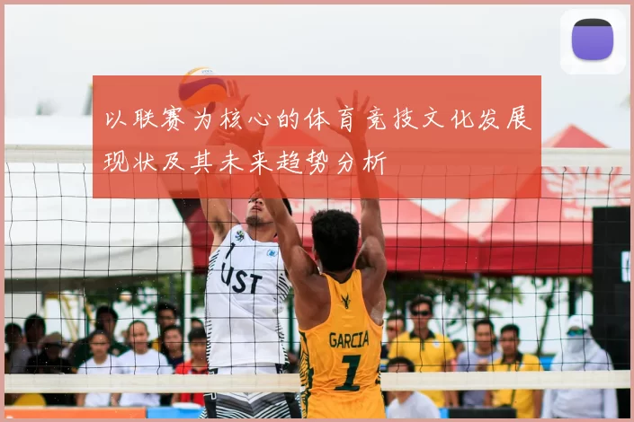 以联赛为核心的体育竞技文化发展现状及其未来趋势分析