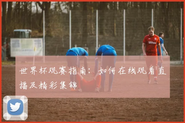 世界杯观赛指南：如何在线观看直播及精彩集锦