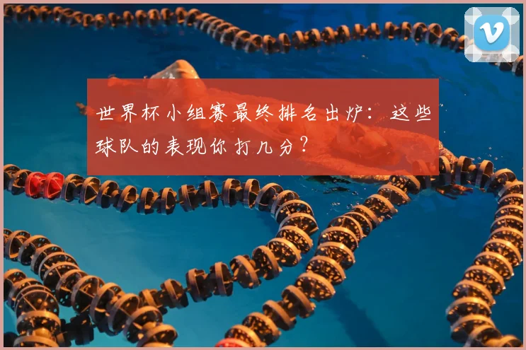 世界杯小组赛最终排名出炉:这些球队的表现你打几分?