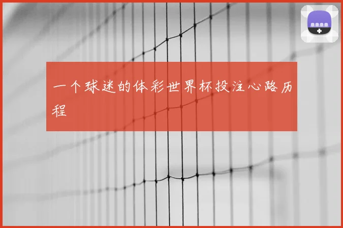一个球迷的体彩世界杯投注心路历程
