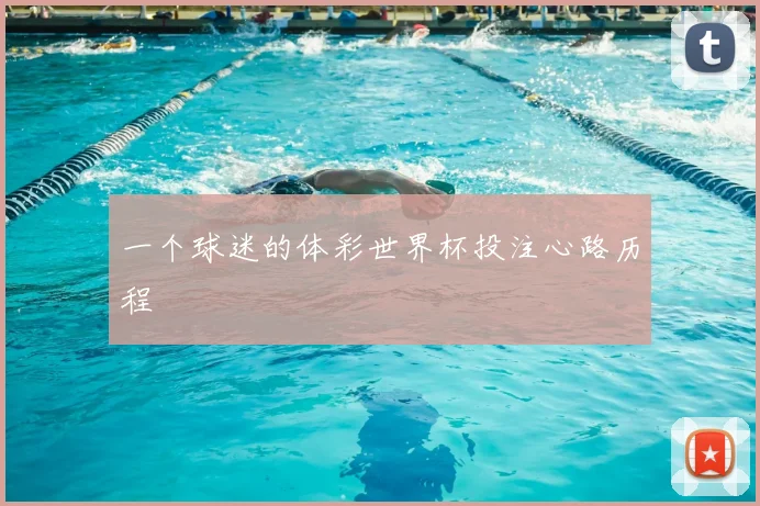 一个球迷的体彩世界杯投注心路历程