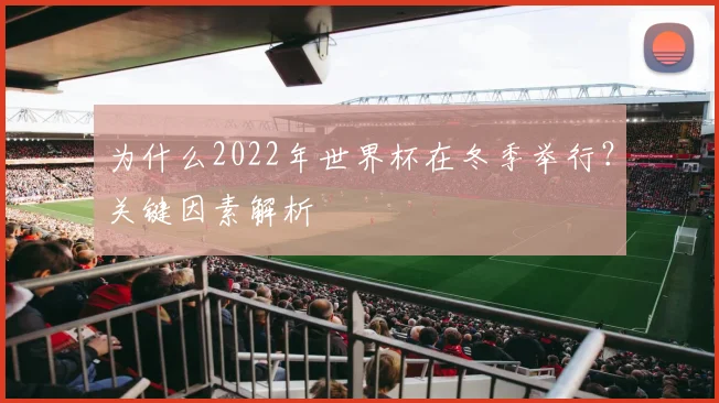 为什么2022年世界杯在冬季举行？关键因素解析