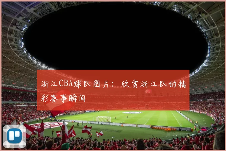 浙江CBA球队图片：欣赏浙江队的精彩赛事瞬间