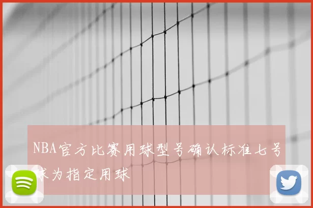 NBA官方比赛用球型号确认标准七号球为指定用球