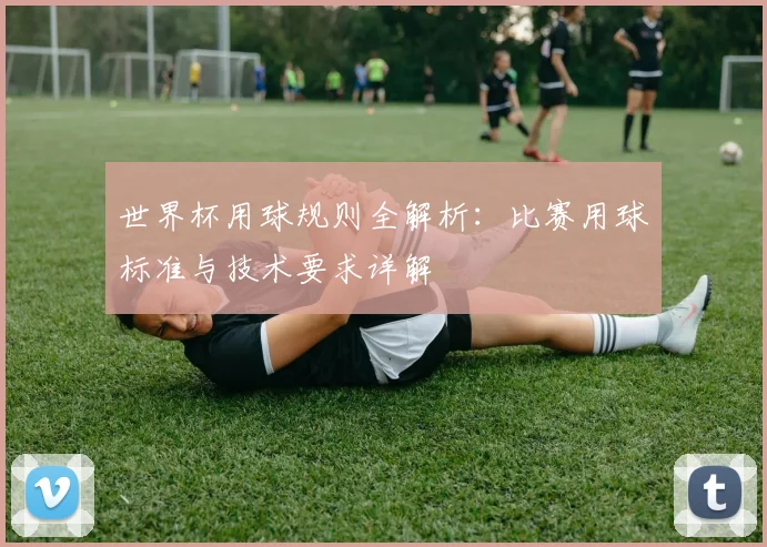 世界杯用球规则全解析:比赛用球标准与技术要求详解