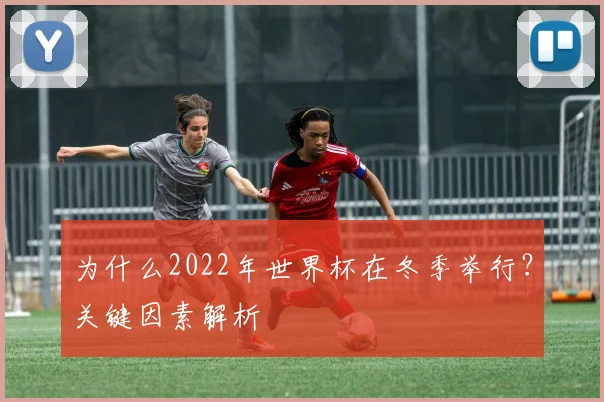 为什么2022年世界杯在冬季举行？关键因素解析