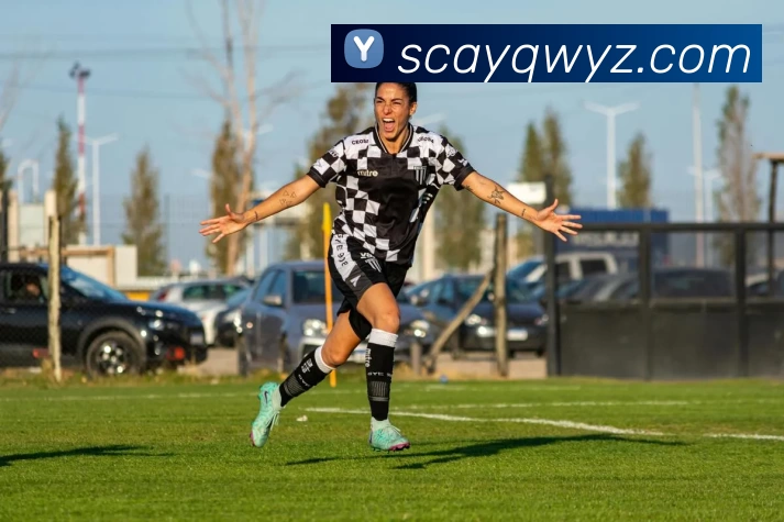 华体会体育品牌故事